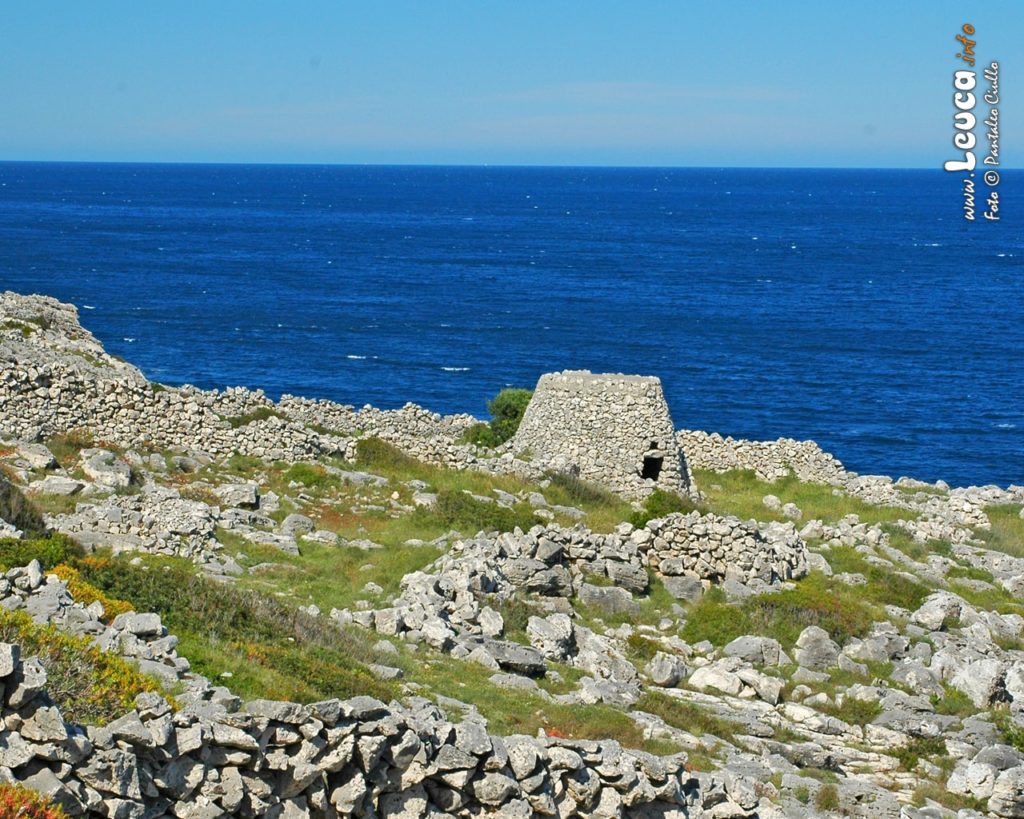 Tipica Pajara Vicino Santa Maria di leuca