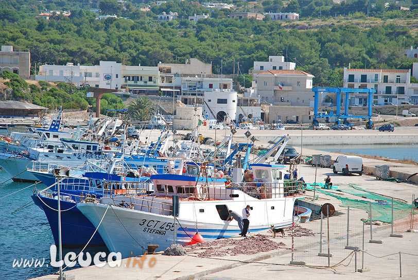 Paranze dei Pescatori al porto di Leuca