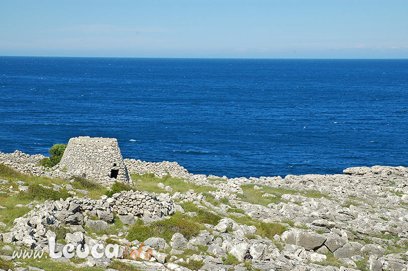 Litoranea del Parco Regionale Costa Otranto S.M. di Leuca Bosco di Tricase