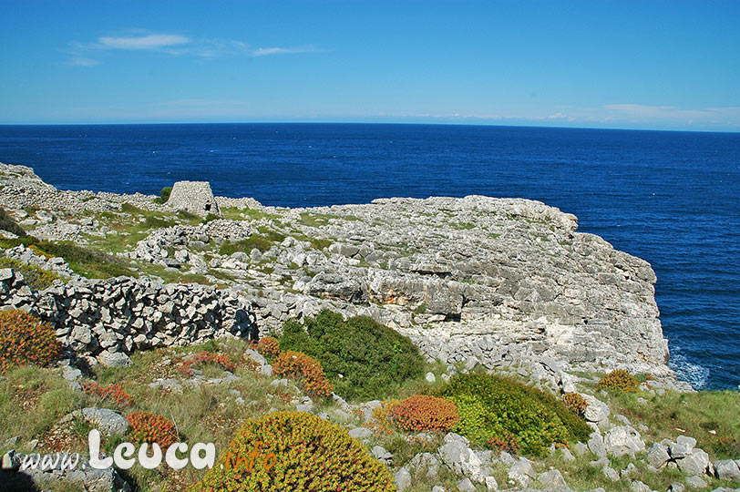 Paesaggio del Parco Costa Otranto Santa Maria di Leuca Bosco di Tricase